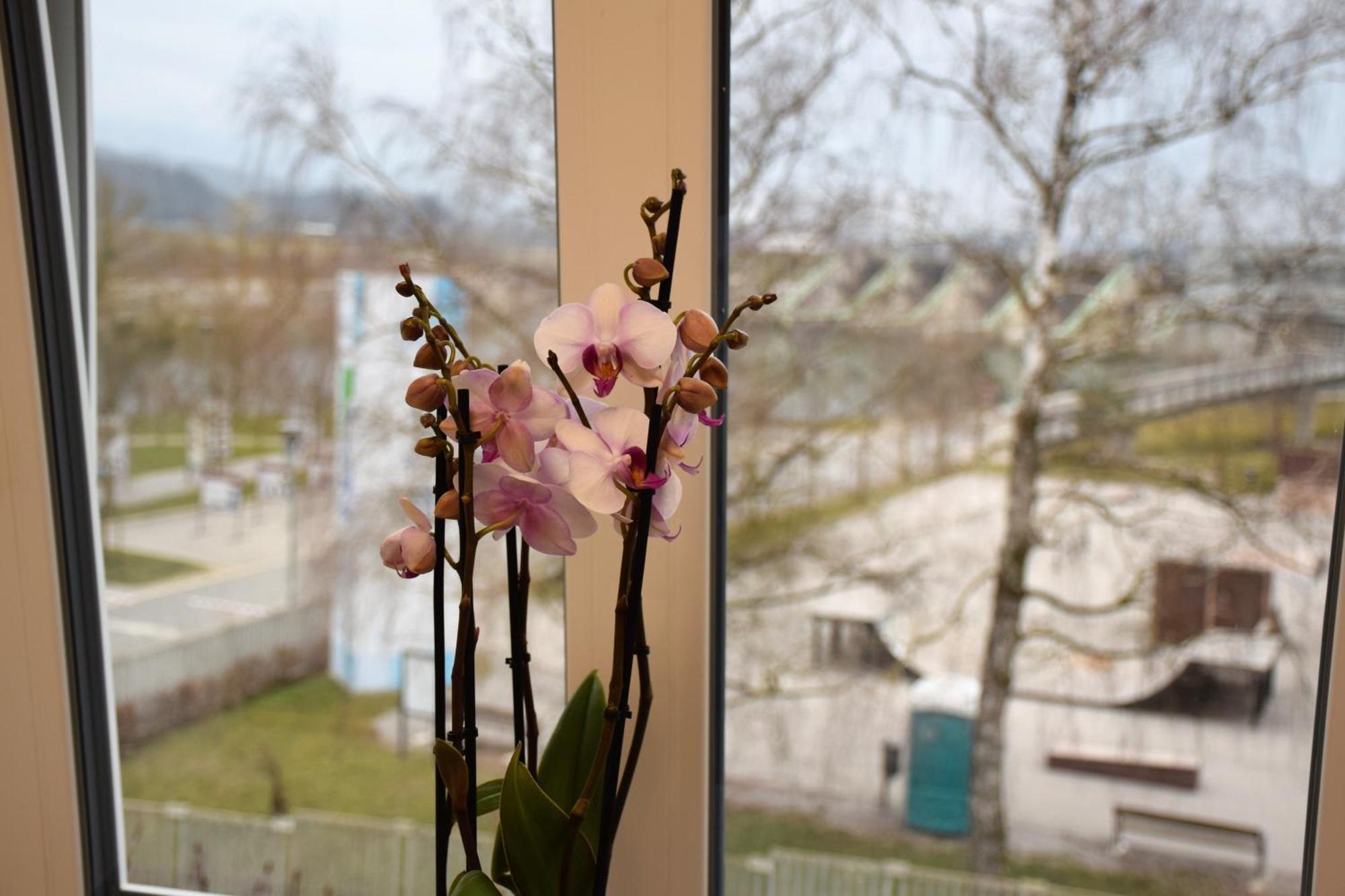 Guesthouse Pr'Sefu Brezice Ruang foto