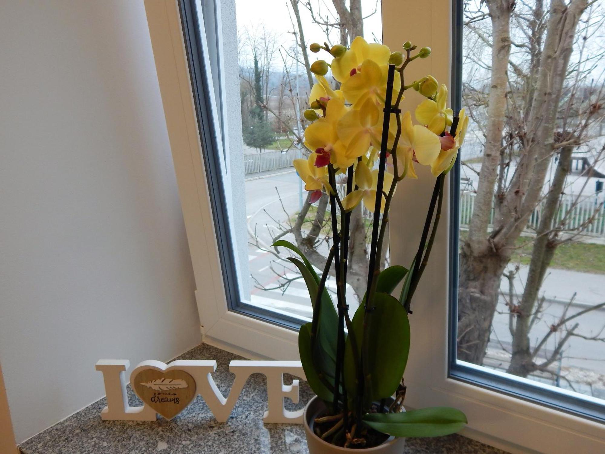 Guesthouse Pr'Sefu Brezice Ruang foto